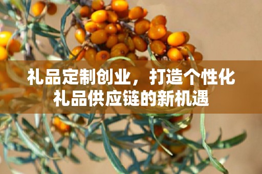 礼品定制创业，打造个性化礼品供应链的新机遇